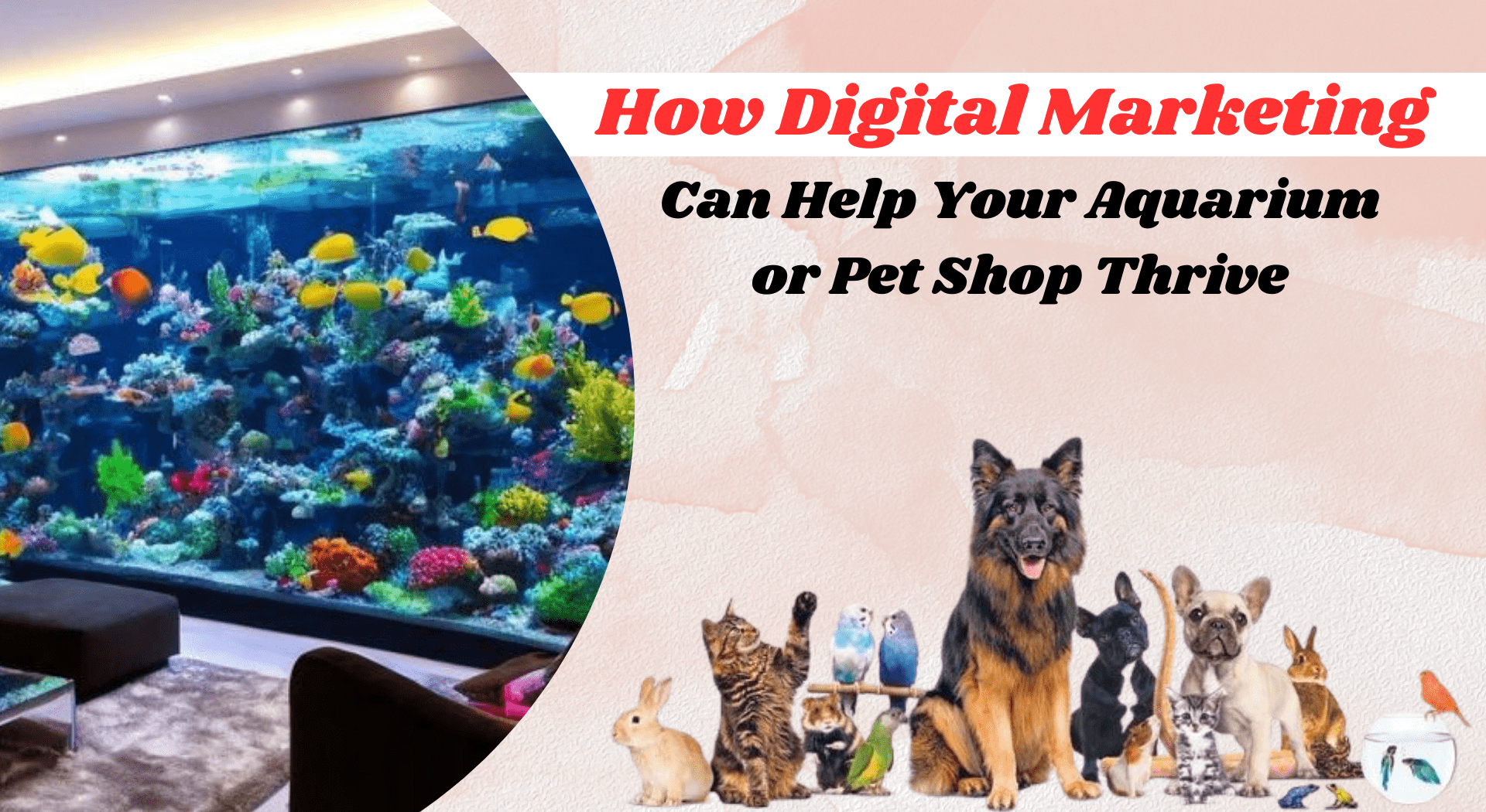 How Digital Marketing Can Help Your Aquarium or Pet Shop Thrive